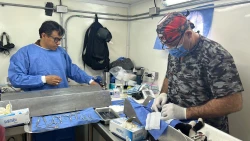 Continúa Campaña de Esterilización para Perros y Gatos en la colonia 6 de Enero