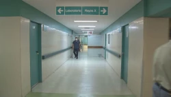 Incremento de empleos en el IMSS
