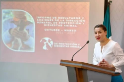 Atiende Gobierno de Sonora a más de tres mil 500 perros y gatos en Sonora