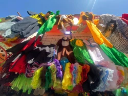 Se llena de animalitos en Culiacán