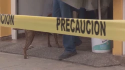 Falta involucrarse en los temas de violencia de género