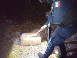 Aseguran dos paquetes de presunta marihuana en Culiacán