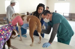 Lleva Gobierno de Sonora atención y orientación veterinaria a Huépac