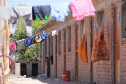 Omisas las autoridades de gobierno para atender las necesidades de los jornaleros
