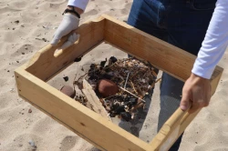 Retiran más de 200 kilos de basura en Isla de Venados