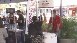 En  dos meses colocan a 2 mil personas en áreas de oportunidad