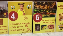 Mazatlán primer municipio de Sinaloa en trabajar en pro del rescate de abejas