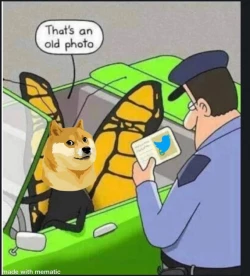 De pajarito azul a un dibujo de un perro, cambia logo de Twitter