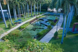 Jardín Botánico de Culiacán, una opción para visitar
