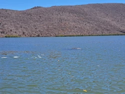 Sin contratiempos paseos en la Bahía en Topolobampo 