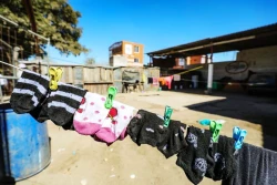 Se trabaja en atender a jornaleros en cuarterías de Guasave: Alcalde