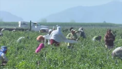 La pobreza extrema incrementa la muerte de la niñez migrante en México