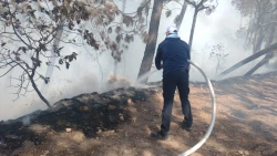 Controlado incendio forestal en Loberas  Concordia: Protección Civil