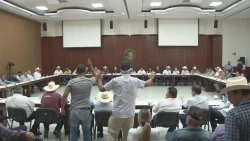 Desesperados los productores agrícolas, advierten que pudieran tomar carreteras