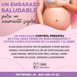 La Secretaría de Salud recomienda llevar un buen control en el embarazo