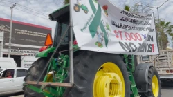 Incremento en costos de producción del maíz complica el panorama para los agricultores