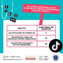 Logran Gobierno de Sonora y TikTok desactivar 81 cuentas por incitar delitos