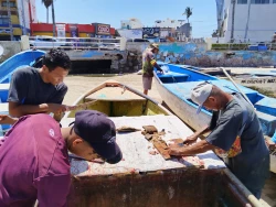 Pescadores de Playa Norte en Mazatlán, viven buena “racha” con pesca de Botete