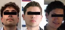 Chapitos se deslindan de acusaciones de la DEA