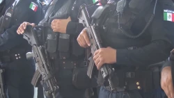Requiere el municipio de Rosario 20 policías