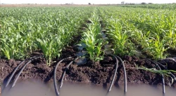 Sinaloa requiere estrategias más profundas ante pronóstico de escasez de agua: García Páez