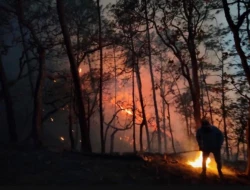 Incendio en Surutato Badiraguato