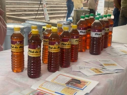 Día mundial de las abejas