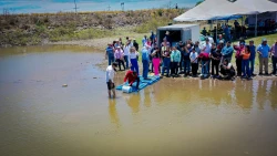 Continua el programa de repoblamiento de alevines en los embalses del municipio de Culiacán.