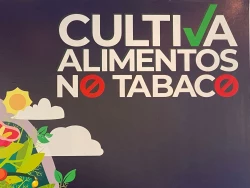 Plática informativa por el Día Mundial Sin Tabaco