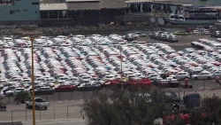 Alrededor de 45 mil vehículos se han desembarcado en ASIPONA los últimos tres meses