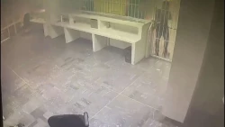 Este lunes se presentarán videos de incendio en estación de migración