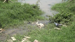 ¡Otra vez! vecinos de Ampliación Loma Bonita, en Mazatlán, piden reparar fuga de drenaje
