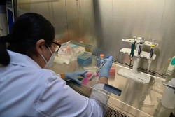 La U.A.S. tiene vigente 23 proyectos de investigación