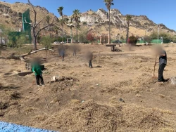 Gobierno de Sonora inicia limpieza de áreas verdes del parque La Sauceda