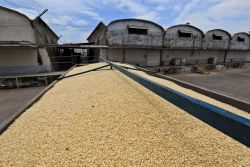 Ya hay quejas de productores agrícolas