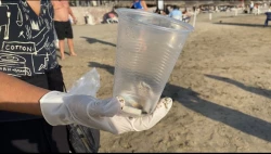 Conmemoran Día Mundial del océano con limpieza de playa en Mazatlán