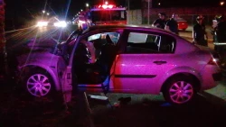 ¡Conductor pierde el control del volante! Cuatro personas resultan heridas por choque contra palmera