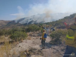 Fuerza de trabajo con más de 250 brigadistas atienden incendios en Ímuris y Bacoachi