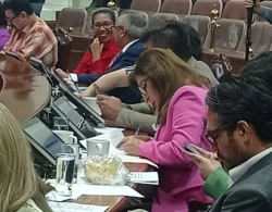 Gloria Imelda Félix se separa del grupo parlamentario del PRI 