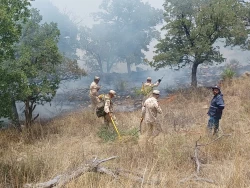 Se alcanza un 70 por ciento control en el incendio forestal en la sierra de Bacoachi y Nacozari
