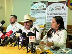¡No hay muertes de ganado por altas temperaturas en Sinaloa asegura sector productivo!