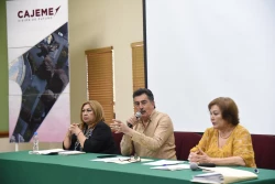 Aprueba Cabildo reglamento para la instalación de accesos controlados a zonas habitacionales