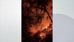 37 incendios en Sinaloa en lo que va del año: SEBIDES