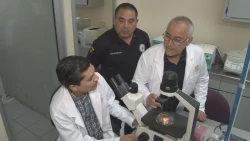 El Departamento de Agricultura de EU retomó artículo de investigadores de la UAS