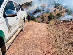 Se logra control del 100 por ciento en incendio forestal en Nogales