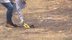 El miércoles no hubo un solo homicidio en 16 estados