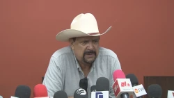 Sin afectaciones en cultivos de maíz por lluvias