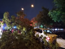 Conductora se estrella contra dos árboles en Hacienda del Seminario