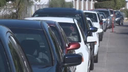 Por única ocasión este viernes 14 habrá descuentos en trámites vehiculares