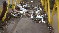 ¿Sabes qué ocasiona la basura que tiras a la calle?